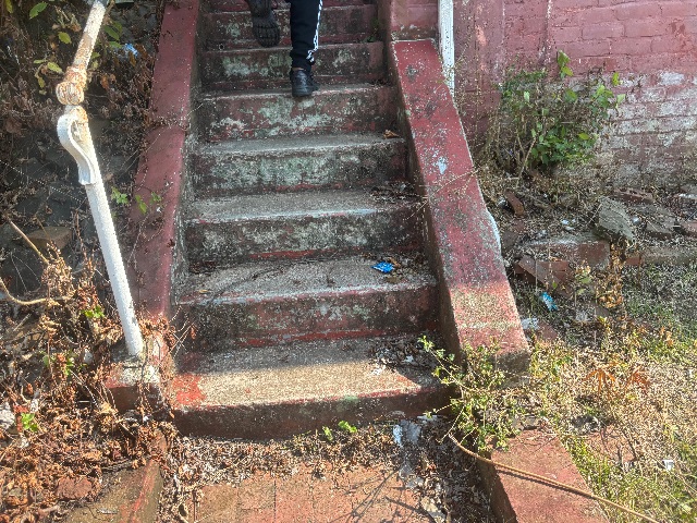 1240 Myrtle Ave: photo 24