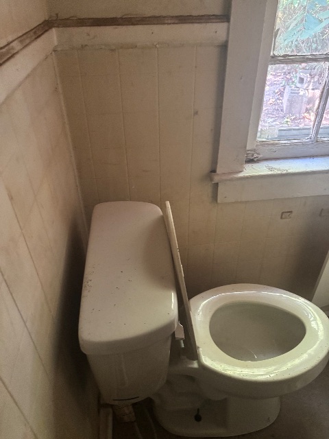1240 Myrtle Ave: photo 19