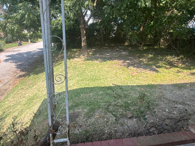 1240 Myrtle Ave: photo 4