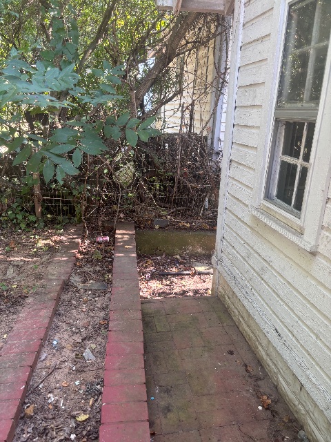 1240 Myrtle Ave: photo 7