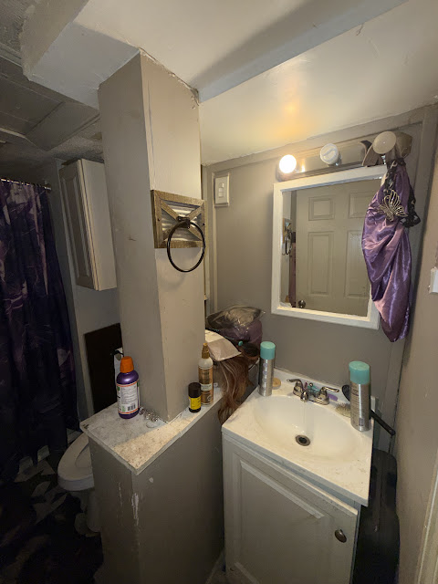 1206 Markham St: photo 13