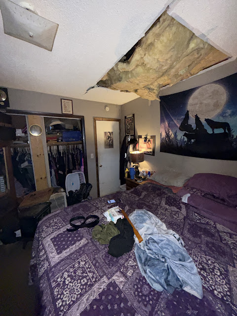 1206 Markham St: photo 21