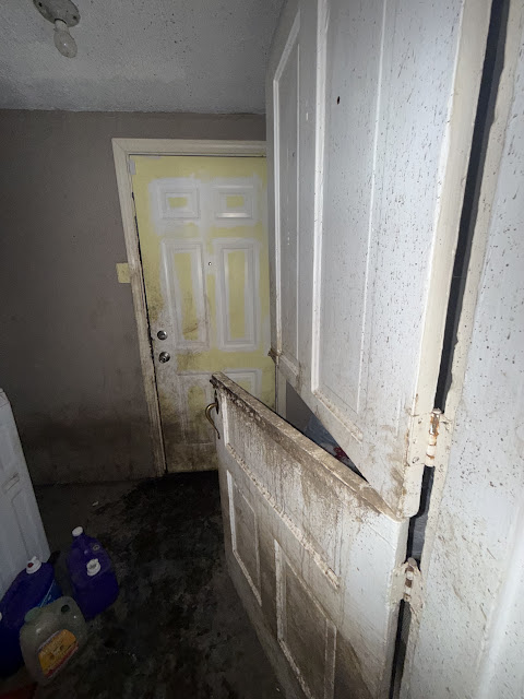 1206 Markham St: photo 30