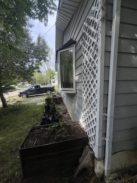 1206 Markham St: photo 3