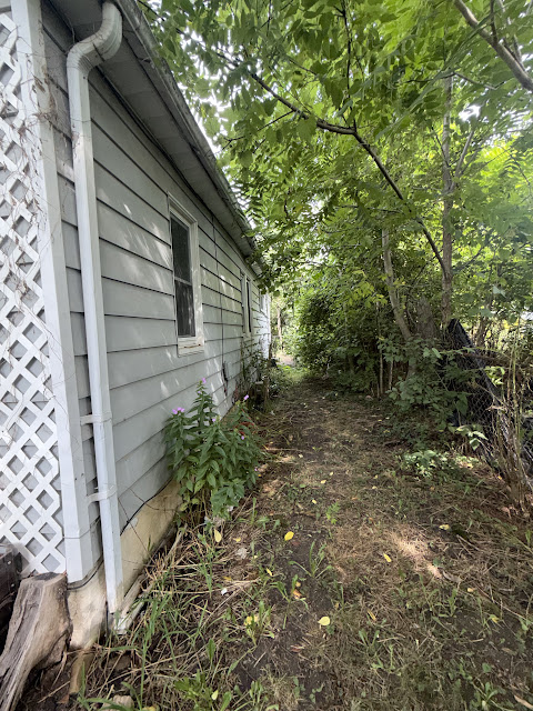 1206 Markham St: photo 43