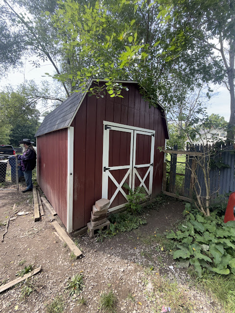1206 Markham St: photo 6