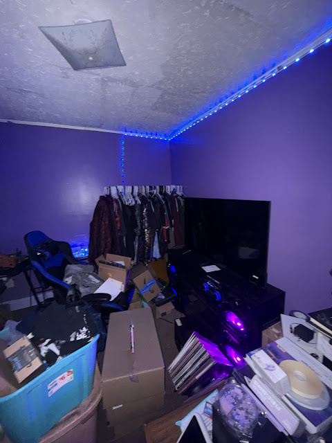 1206 Markham St: photo 40