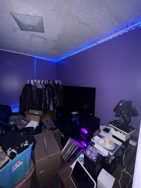 1206 Markham St: photo 24