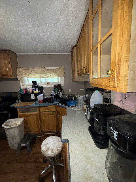 1206 Markham St: photo 15