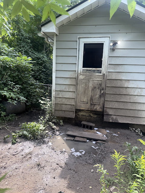 1206 Markham St: photo 7
