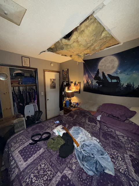 1206 Markham St: photo 22
