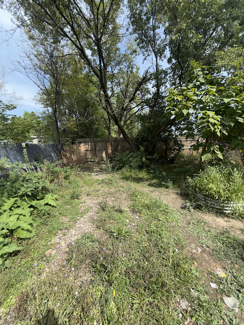 1206 Markham St: photo 49