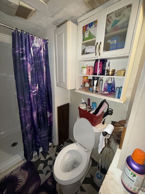 1206 Markham St: photo 12