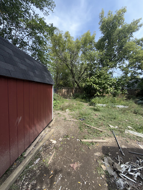 1206 Markham St: photo 45