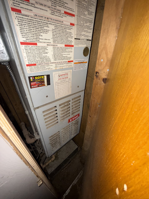 1206 Markham St: photo 19