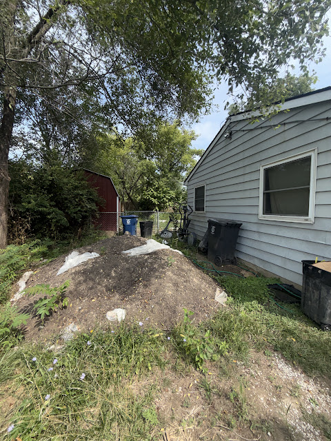 1206 Markham St: photo 5