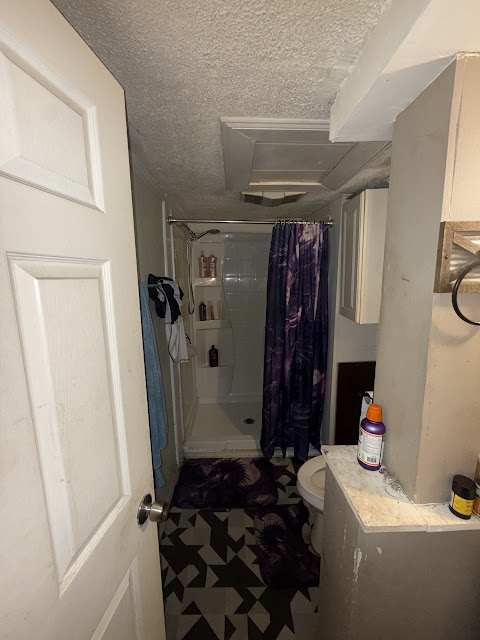 1206 Markham St: photo 11