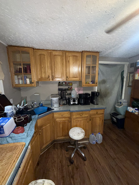 1206 Markham St: photo 16