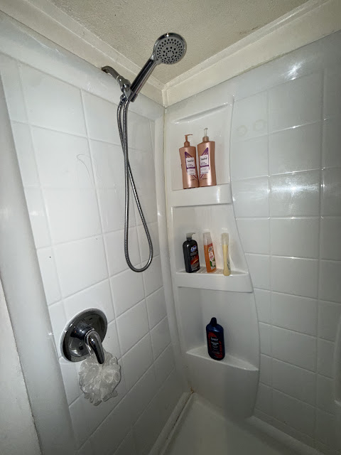 1206 Markham St: photo 28