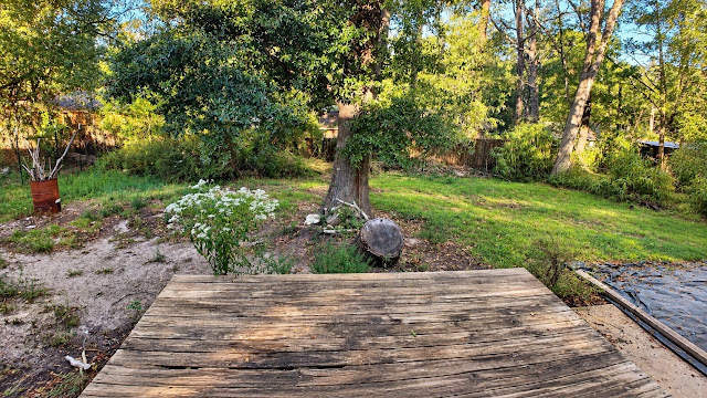 1765 Casteel Dr: photo 21