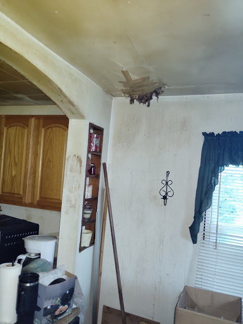 1106 St Michael Dr: photo 10