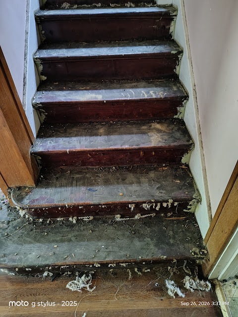 520 E Frye Ave: photo 11