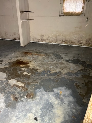205 E Jackson Ave: photo 22