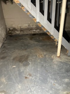 205 E Jackson Ave: photo 41