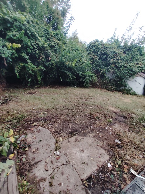 8510 Concord Pl: photo 45