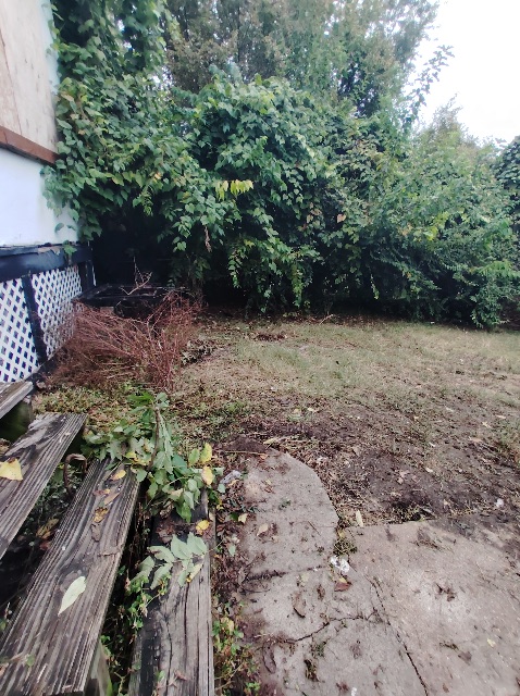8510 Concord Pl: photo 4