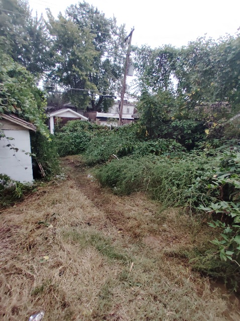 8510 Concord Pl: photo 48