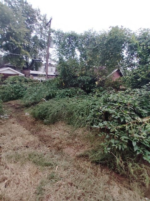 8510 Concord Pl: photo 47
