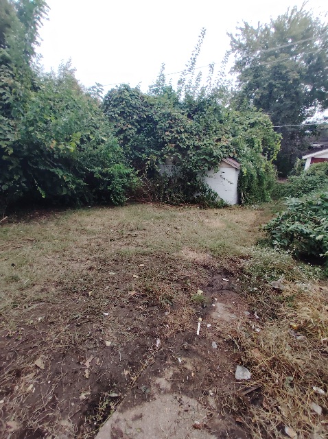 8510 Concord Pl: photo 5