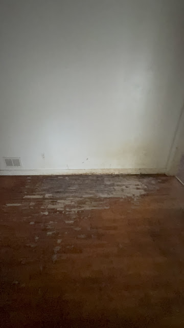 1174 W King St: photo 28