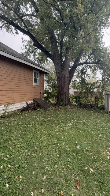1174 W King St: photo 25
