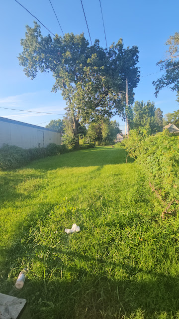 1428 South Ave: photo 20