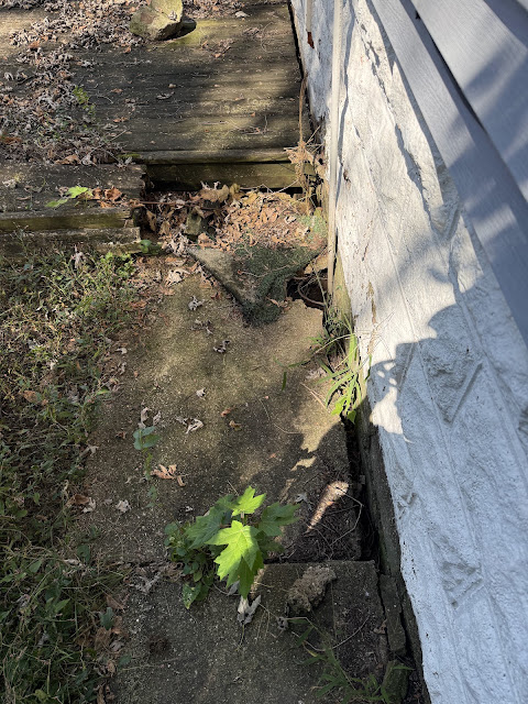 1905 N College St: photo 39