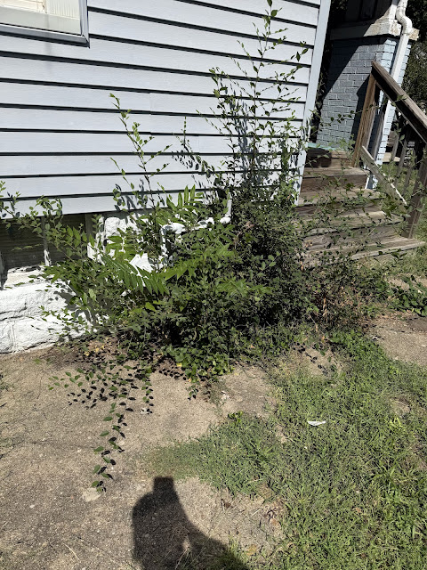 1905 N College St: photo 36