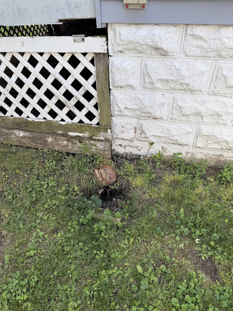 1905 N College St: photo 28