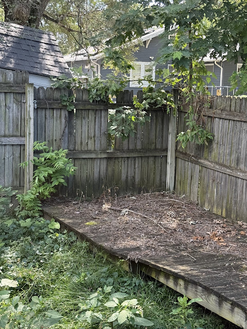 1905 N College St: photo 43