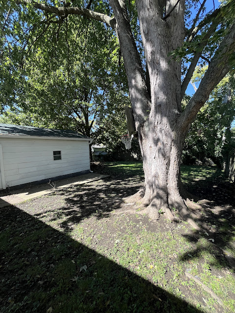 1422 Sedgwick St: photo 9