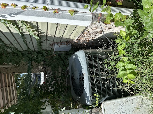 1929 E Prairie St: photo 5