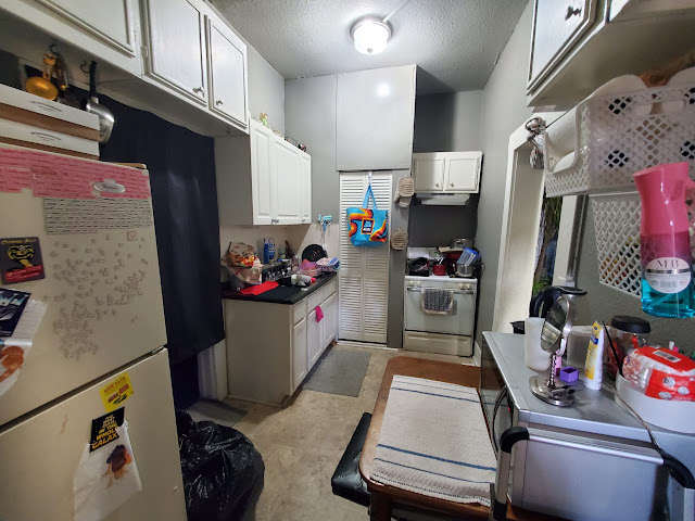 307 W Sycamore St: photo 12
