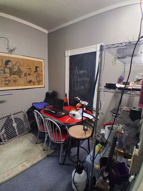 307 W Sycamore St: photo 31