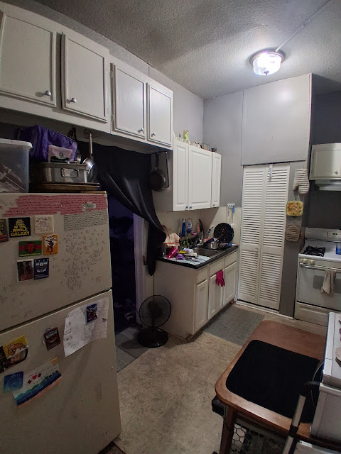 307 W Sycamore St: photo 30