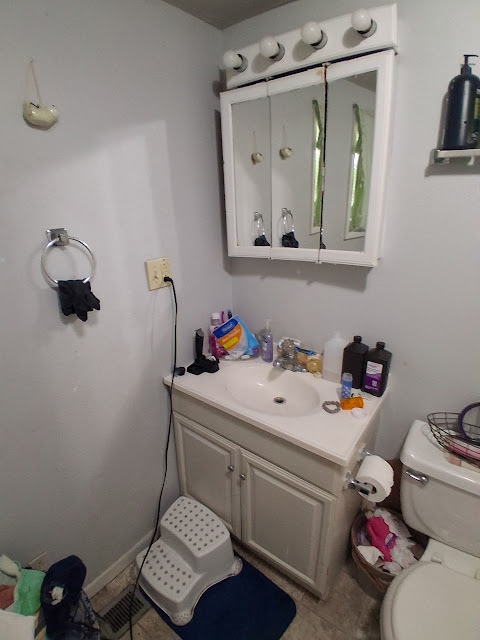 307 W Sycamore St: photo 23