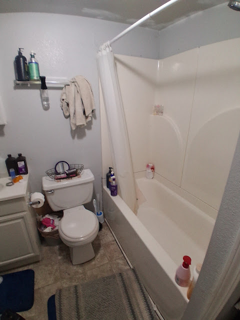 307 W Sycamore St: photo 22