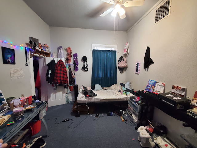 307 W Sycamore St: photo 17