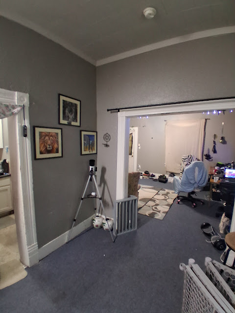 307 W Sycamore St: photo 11