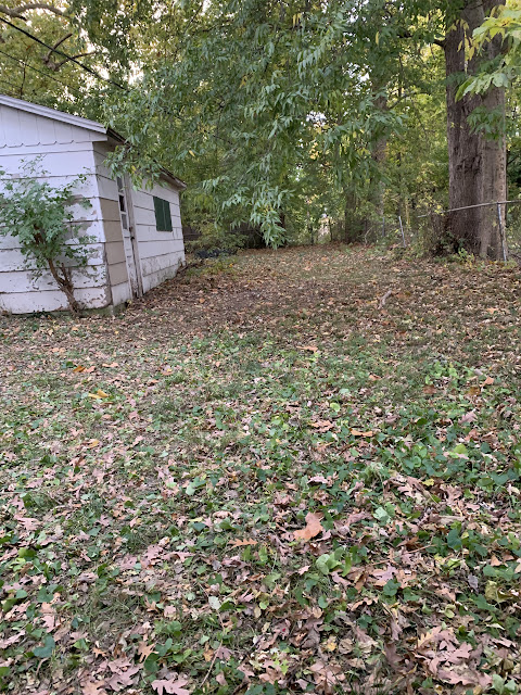1825 N Church St: photo 6